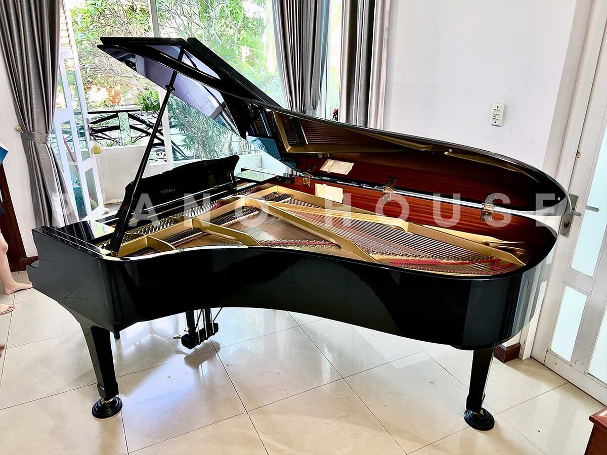 YAMAHA C7 Seri 3.6 - Ảnh thực tế 3